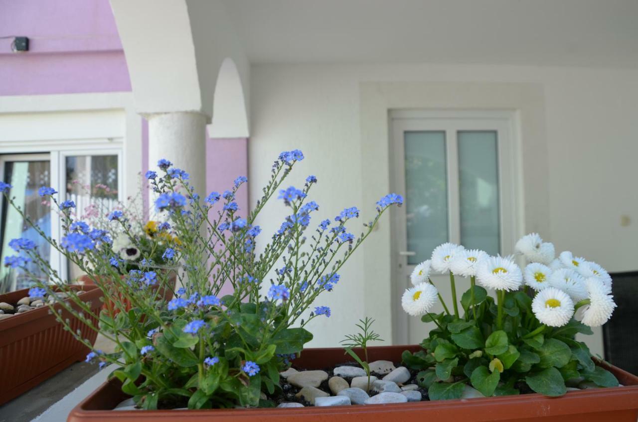 Ema & Sea Apartment'S With Free Private Parking Pula Exterior photo